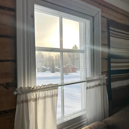 Wanha Niemelae, Lapissa Villa