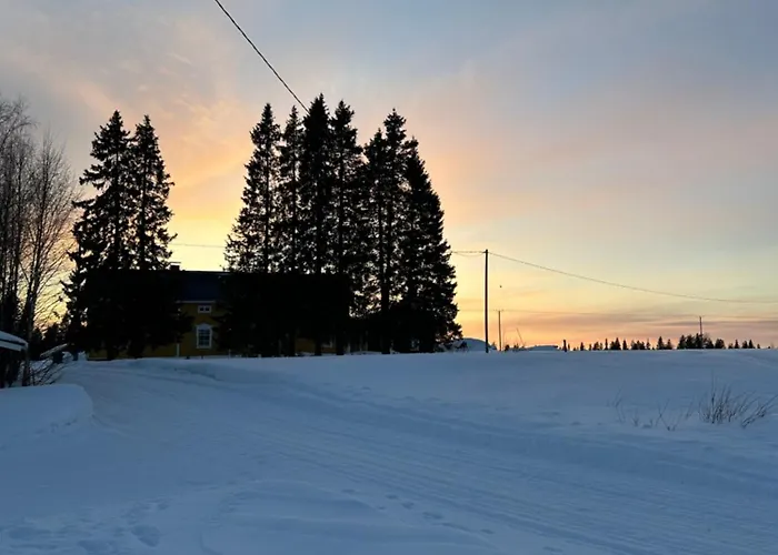 Wanha Niemelae, Lapissa