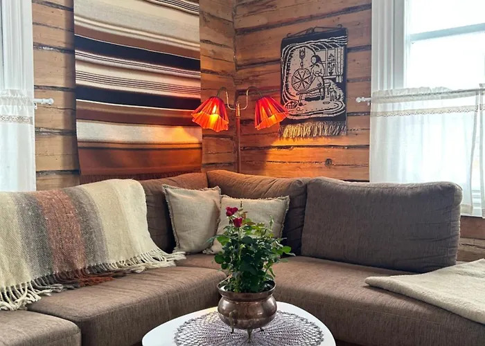 Wanha Niemelae, Lapissa Вилла